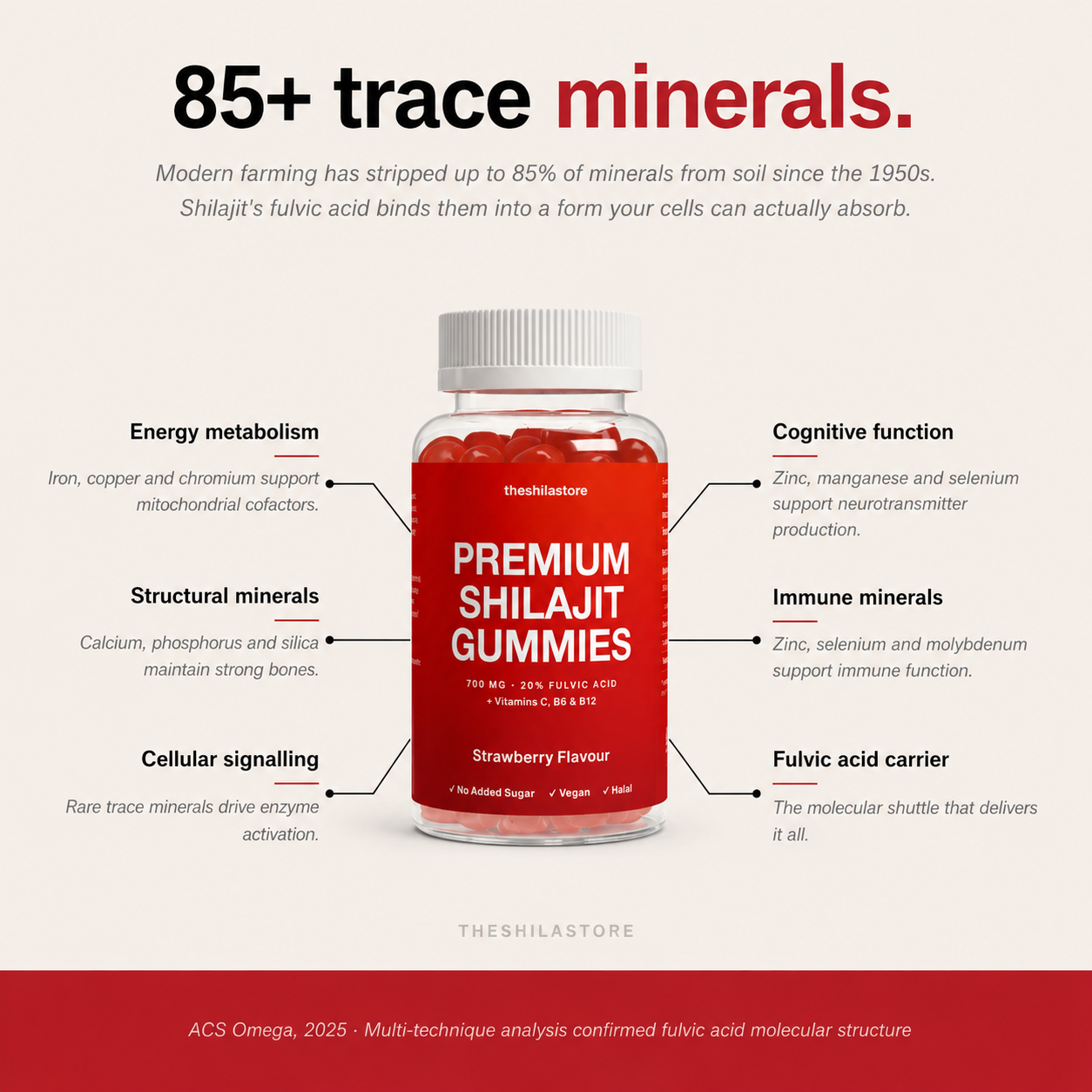 Premium Shilajit Gummies 700MG